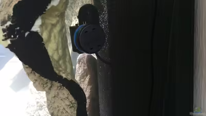 Position HMF & SP. Seitenscheibe ist jetzt foliert. von Branjo (26)