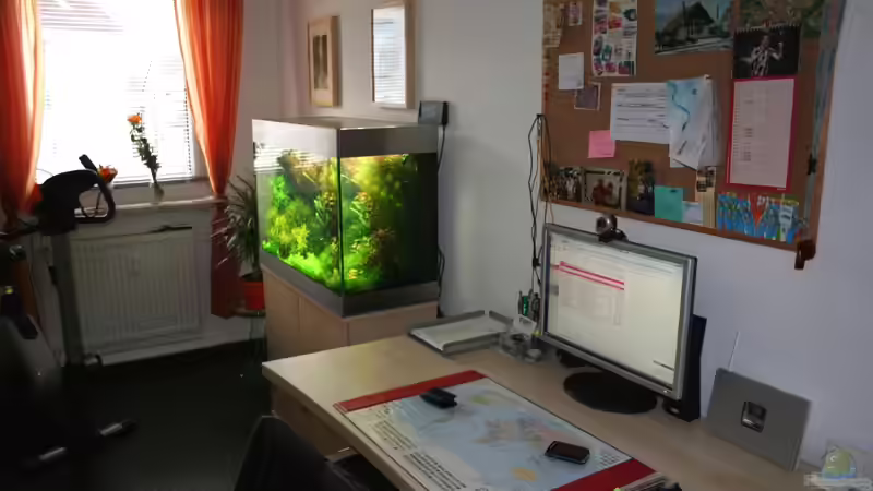 Position im Arbeitszimmer von @mazonas (13)