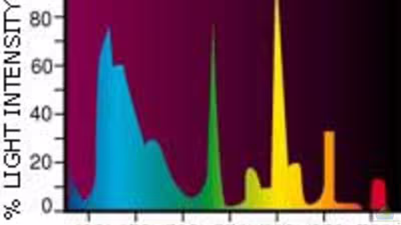 Power Glo Spektrum von Ronald Müller (11)