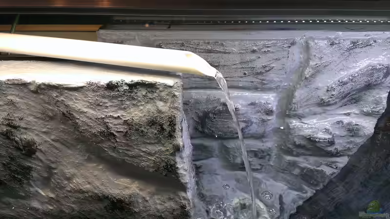 Power! von raubsau (136)