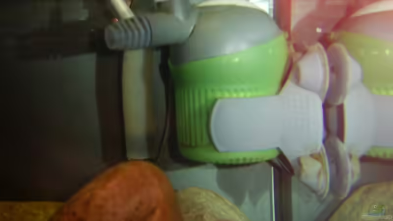 Powerhead 1212 von Rene Kandler (12)