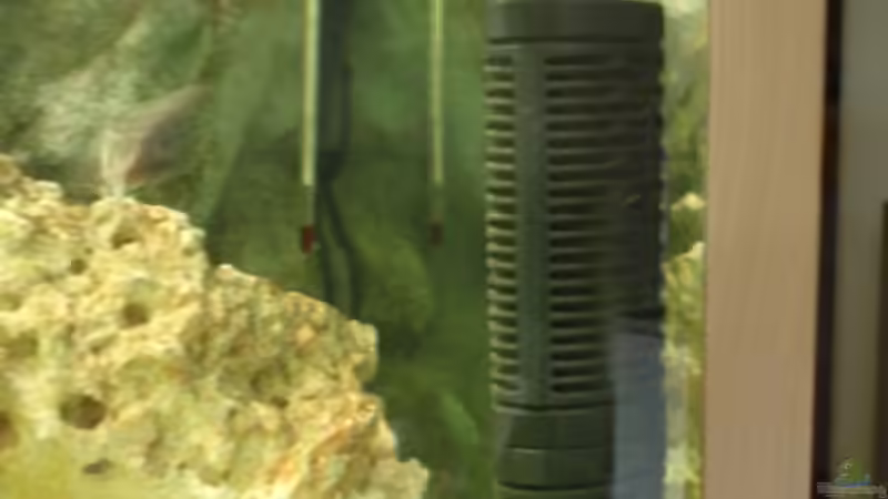 Powerhead 1400L/Std von MF80 (7)