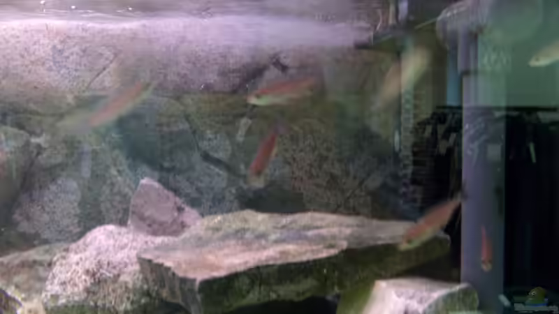 Powerhead 2200 und Aquabee 1000 von Yigit Nur (10)