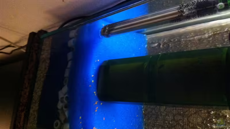 PowerLine von Yejo (20)