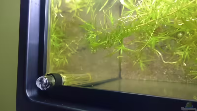 Praktische Halterung für das Thermometer. von Gregor (4)