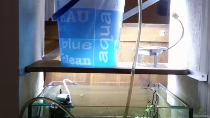 Praktisches Wasserwechsel System :) von Miss Kasimir (38)