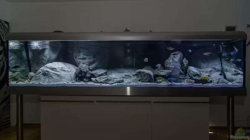 Predators World von ClioB (1)