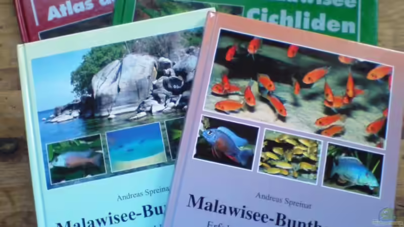 Printmedien von timme (45)