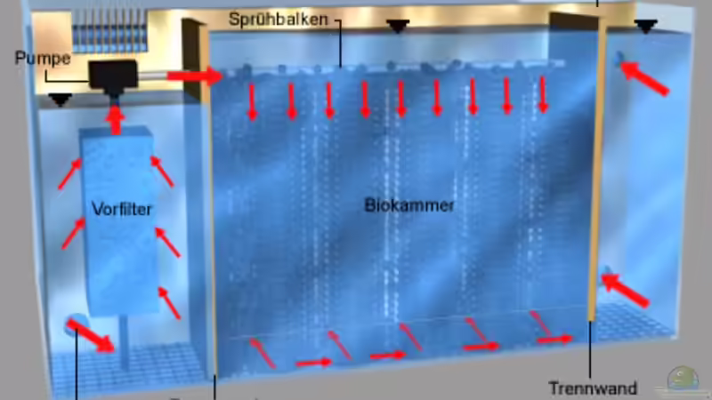 Prinzip meines hinter der 3D-Rückwand integrierten Bio-Innenfilters von Steffi66 (31)