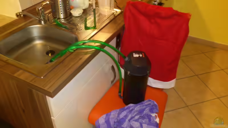 Probe von Markus J. (19)