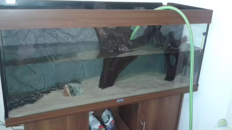 Probebefüllung von Deoroller (7)