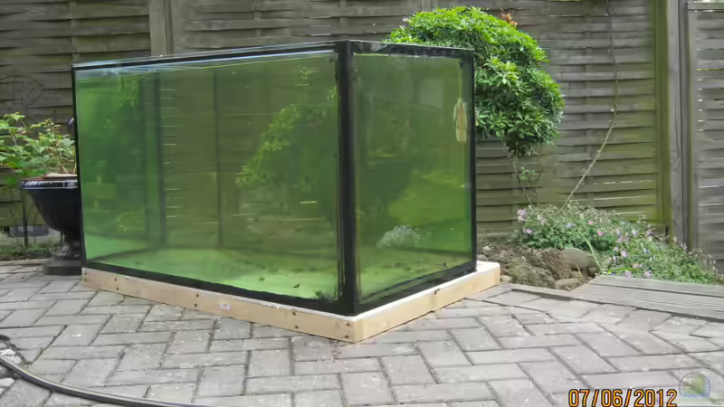 Probefüllung aus der Regentonne von Paul B. (5)