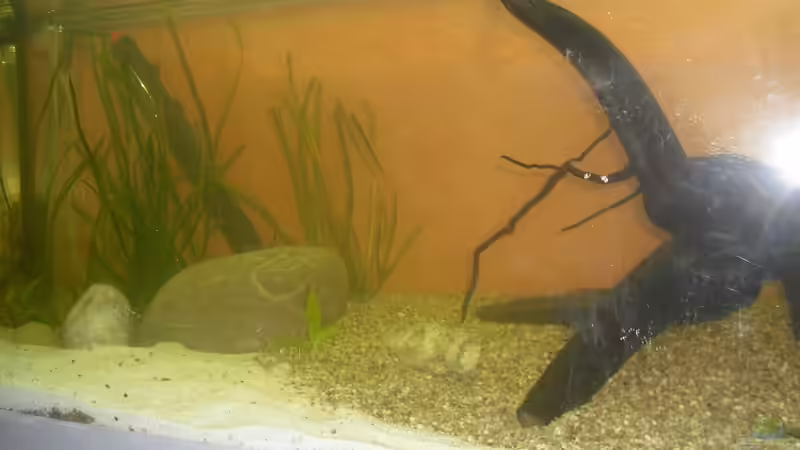 probelauf ohne Pflanzen  kommen noch von DHL) von Fireman (2)