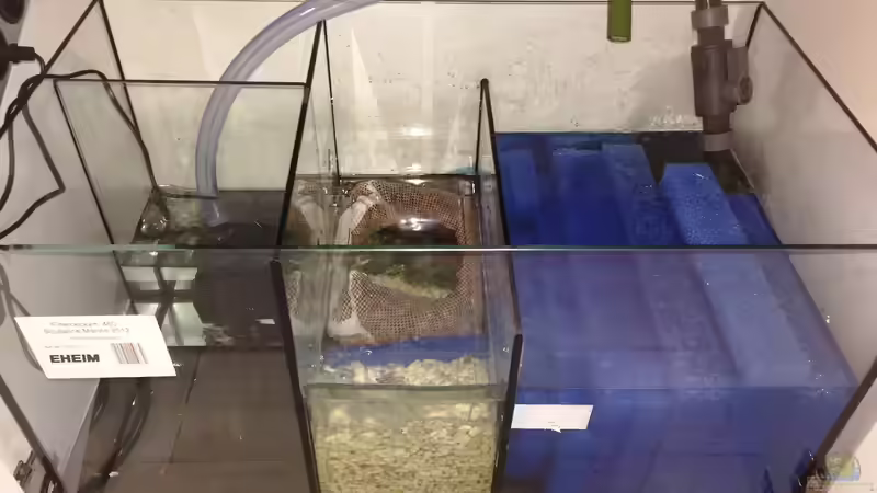 Probelauf Technikbecken 2 von MGR (16)