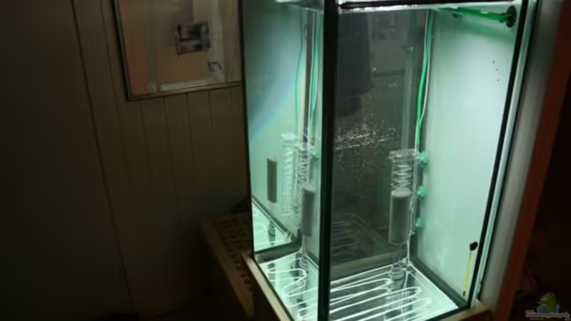 Probelauf von bull70 (1)