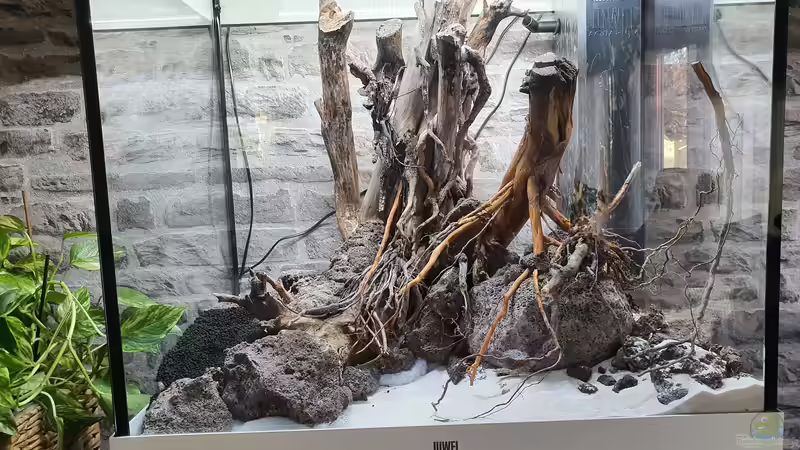 Probelayouts... von der Theoretiker (35)