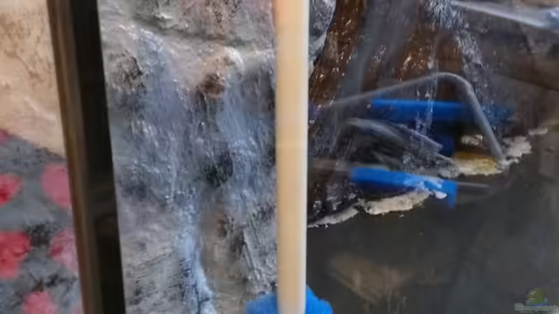 Probesitz der Luftheber von raubsau (142)