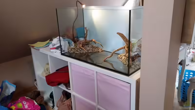 Probestellen von KleinerPlaty (4)