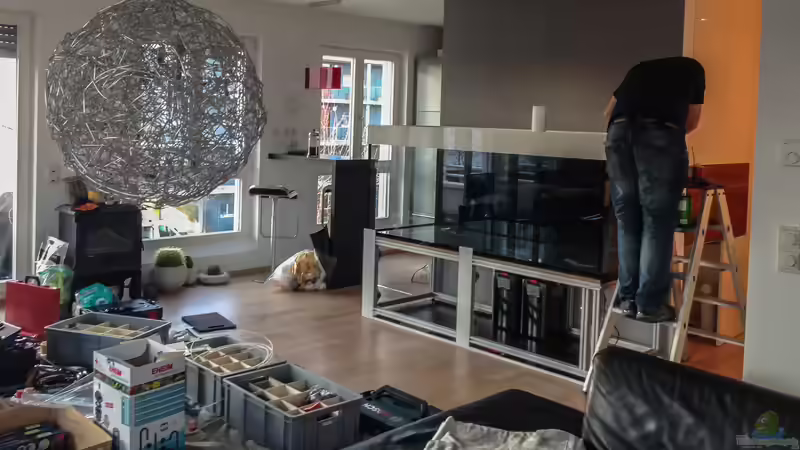 Professioneller Aufbauservice für dein Aquarium - sorgenfrei zum perfekten Unterwasserparadies