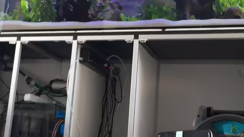 Programmierstunde von stroelly (4)