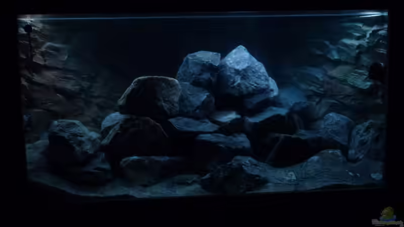 Projekt 71336 Malawi