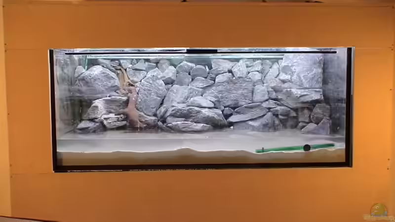 Projekt Altbau (2006) - Malawisee von JanR (12)