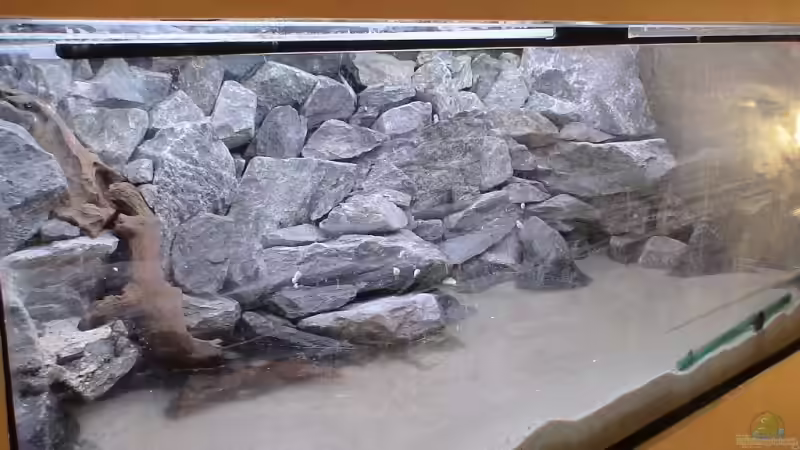 Projekt Altbau (2006) - Malawisee von JanR (13)