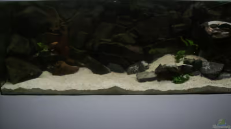 Projekt Altbau (2006) - Malawisee von JanR (16)