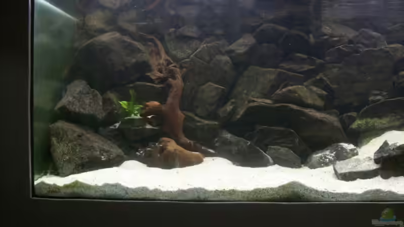 Projekt Altbau (2006) - Malawisee von JanR (17)