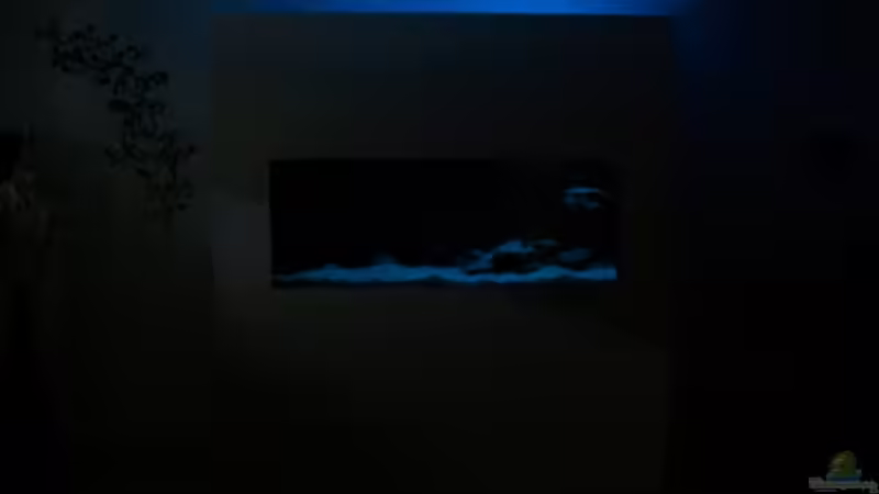 Projekt Altbau (2006) - Malawisee von JanR (18)