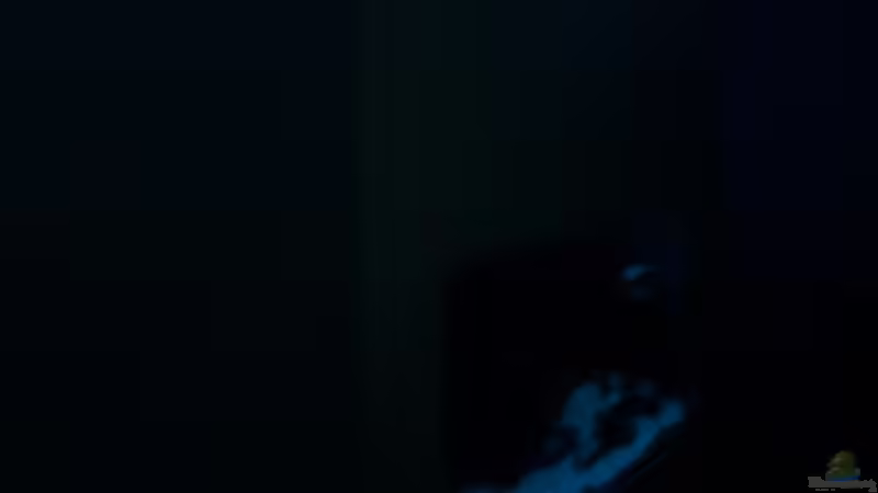 Projekt Altbau (2006) - Malawisee von JanR (19)