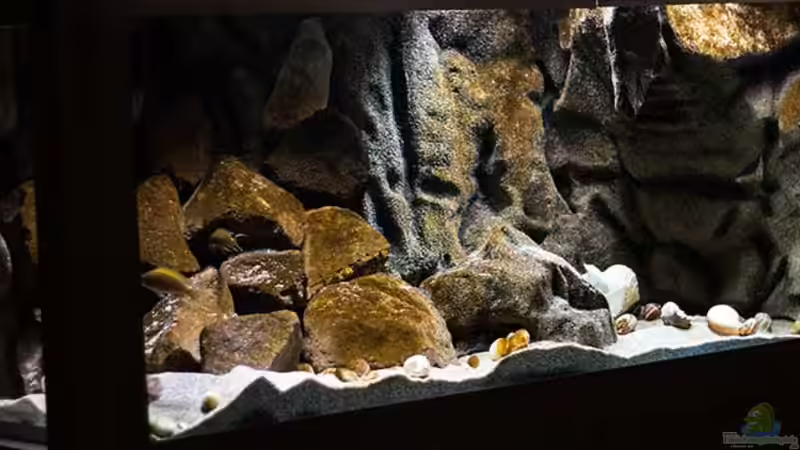 Projekt `SandStorm - Ranga Cave`