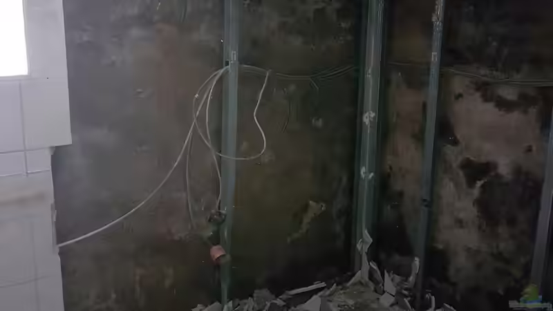 Projektbeginn 4000 Liter Aquarium. Teil 1 Abriss der alten Gipskartonwände  von Thomas Michel (14)