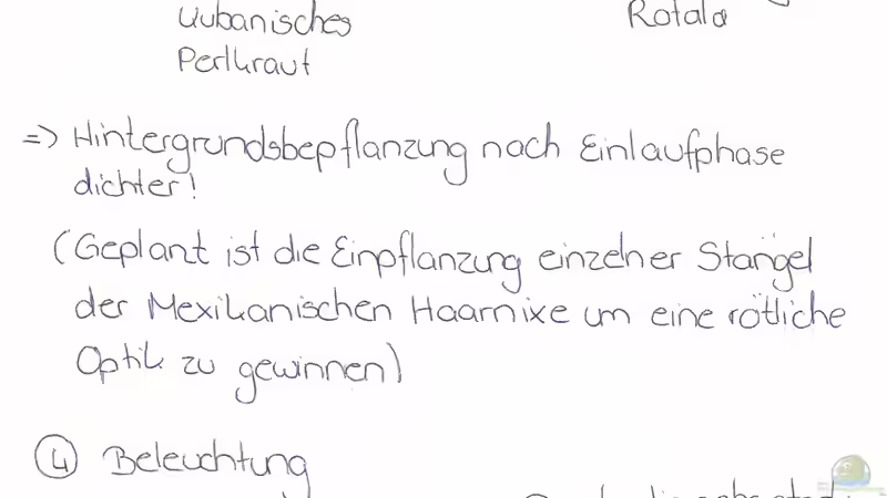 Projektskizze 2 von Maggie Blue (3)