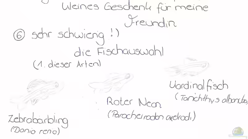 Projektskizze 3 von Maggie Blue (4)