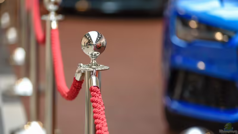 Promis mit Aquarien, Terrarien oder Gartenteichen