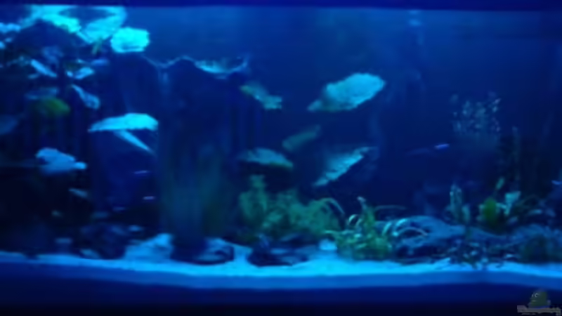 provisorisches Mondlicht von Oliver Schürmann (5)