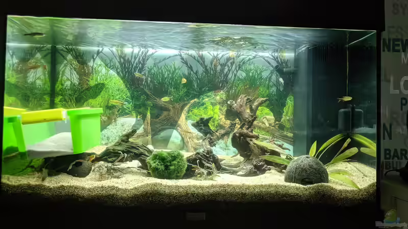 Provisorium, bloß andere Perspektive (09.06.2020) von Ameisenalex (6)