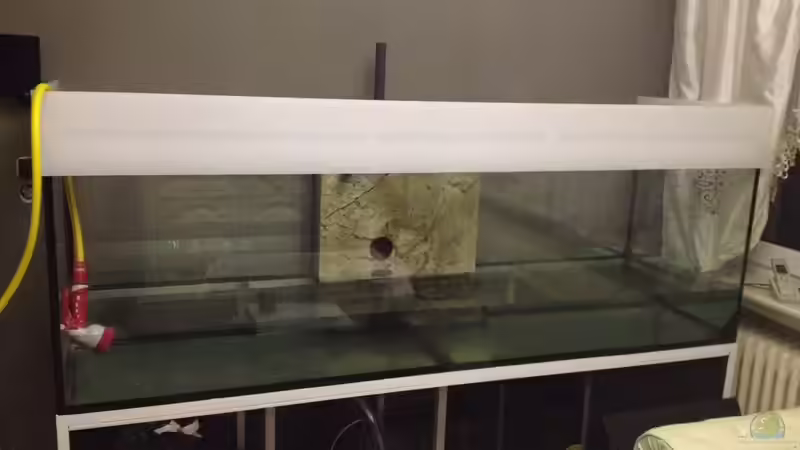 Prüfen ob alles dicht ist! 21.12.15 von Polski (4)