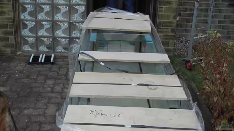 Puh.... Fast zu breit für die Tür ;0) von meerwasser-gb (2)