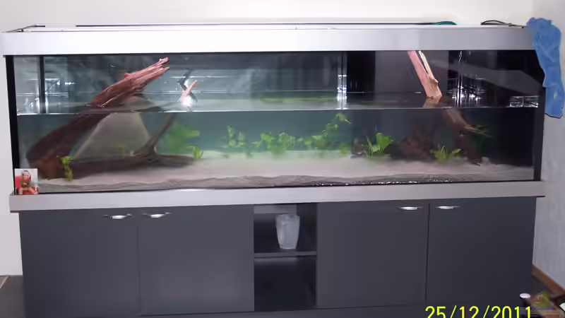 Puh es ist Dicht von Stefan Arenth (13)