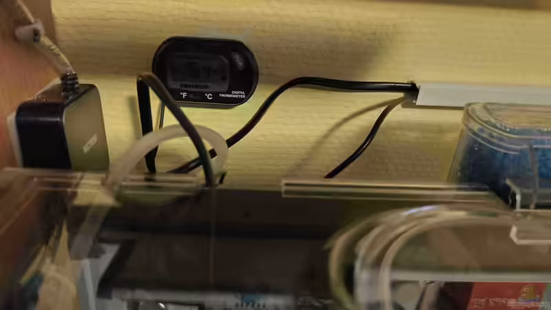 Pumpe, Thermometer von HOTU (15)