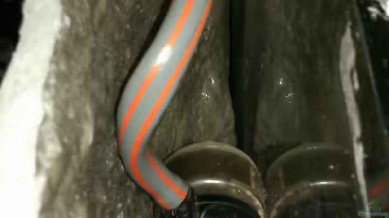 Pumpe hinter der Rückwand, um stehendes Wasser zu vermeiden von Biffty (60)