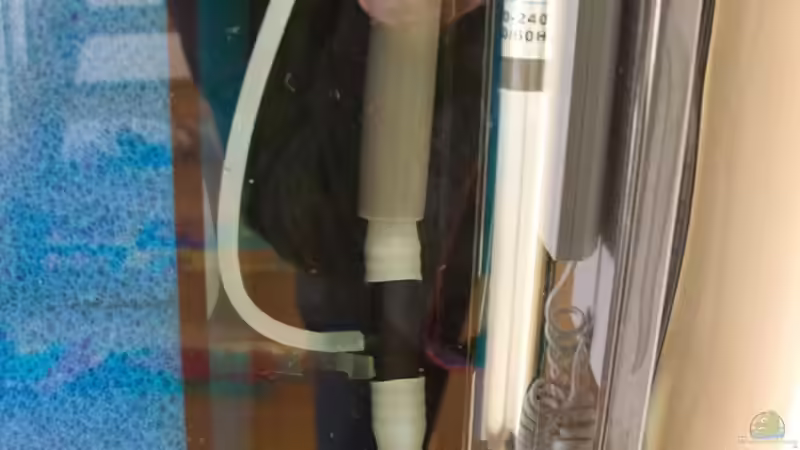 Pumpe mit Abzweigung für die Lampenkühlung von Markus Walter (20)