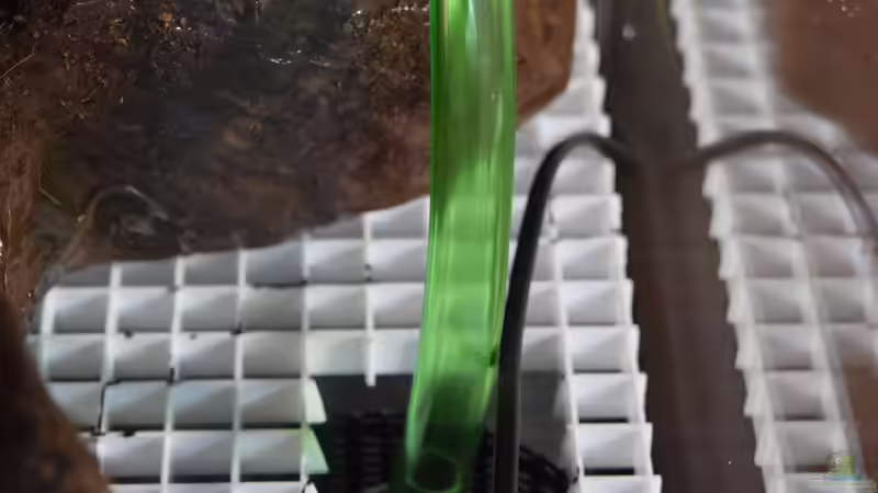 Pumpe mit Auslass von Junglist (11)