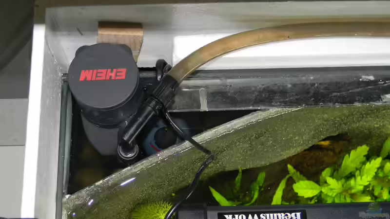 Pumpe und Heizer hinter der Rückwand von Alfur (6)