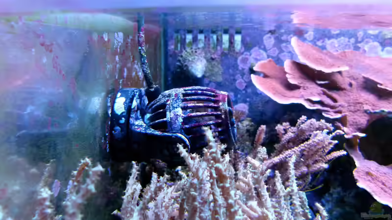 Pumpe von Artur Wegert (6)