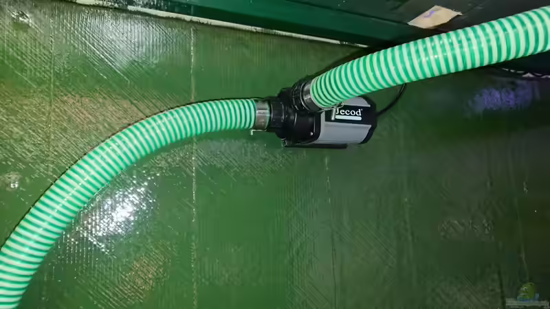 Pumpe von kellerkind (64)