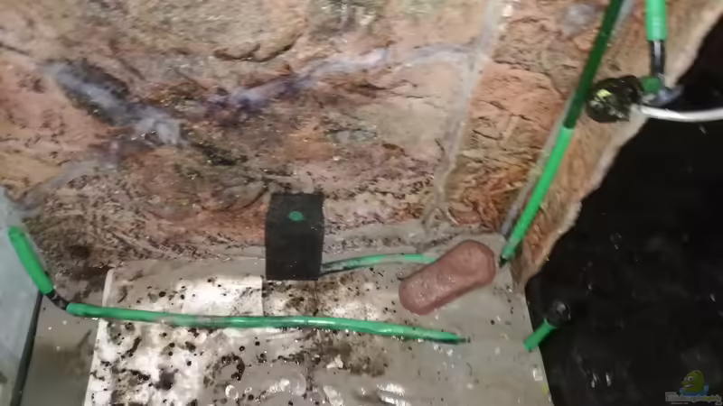 Pumpen-/Filterleistung von - Stephen - (28)