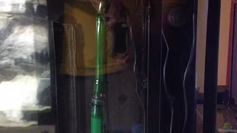Pumpenkammer mit Eheim Compact+ 2000. Rechts sieht man den Kabelschacht von TheToxicAvenger (23)